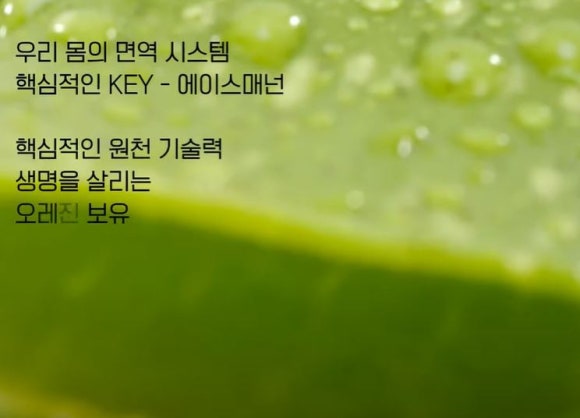 에이스시스템 이미지
