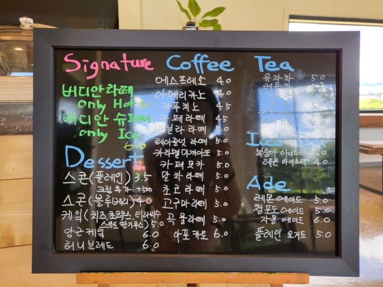 버디안 이미지