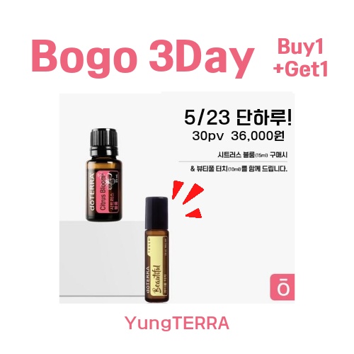 퀸도테라 이미지