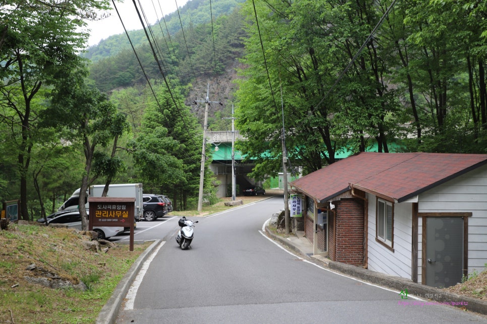 도사곡휴양림야영장 이미지