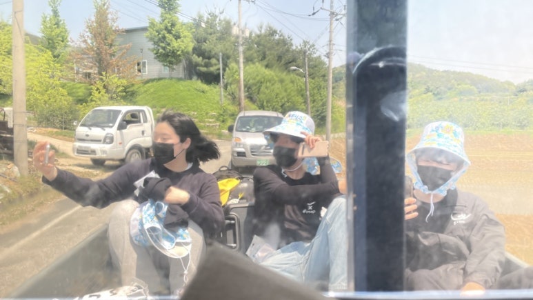 초록하다 이미지