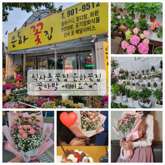 은하꽃집 이미지