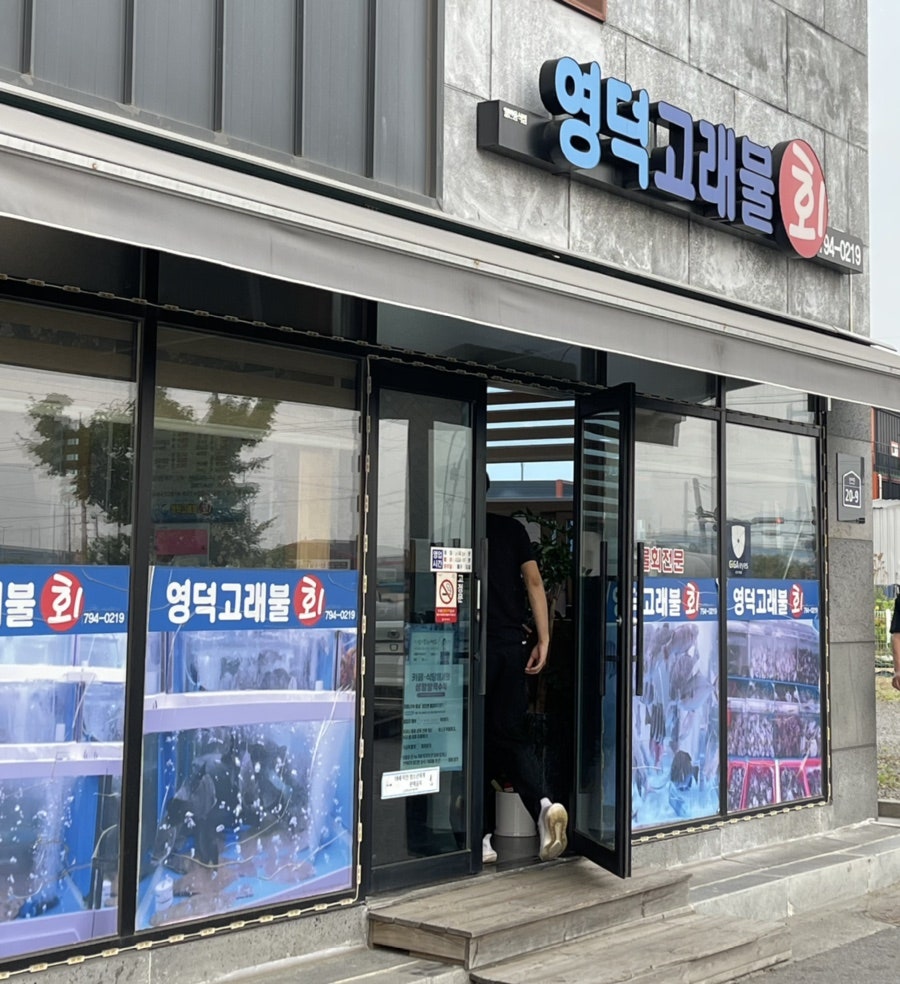영덕고래불회 이미지