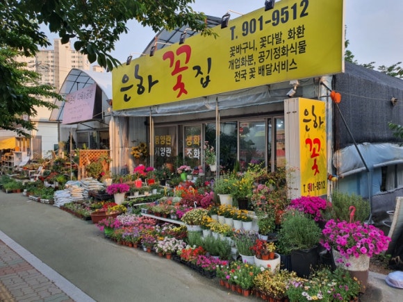은하꽃집 이미지