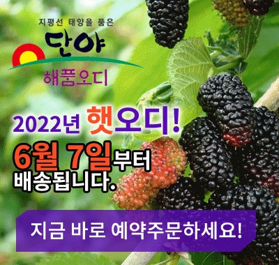 오디정보통신 이미지