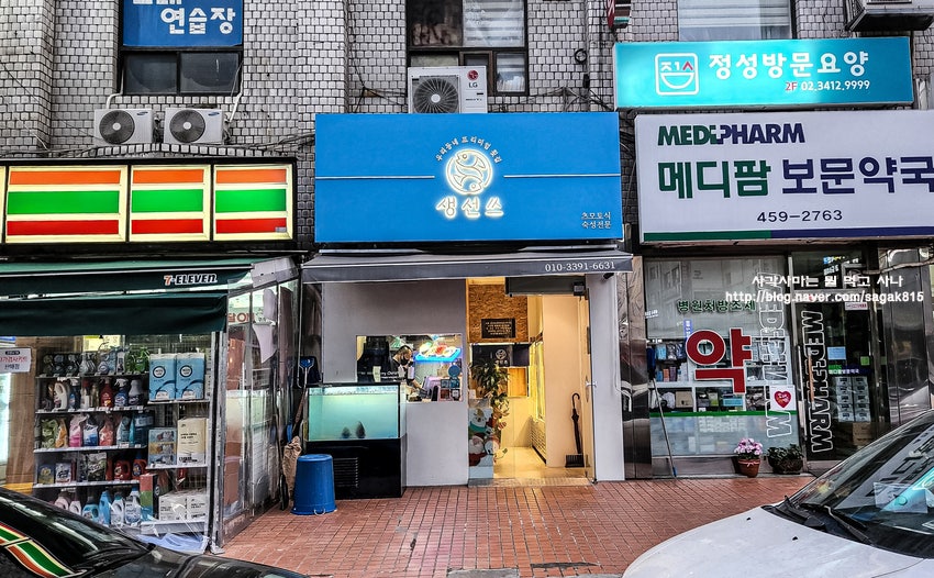생선쓰 이미지