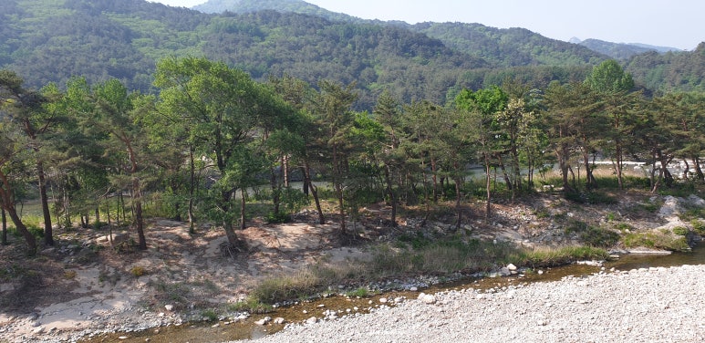용대초등학교 이미지