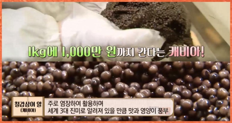 상어식당 이미지