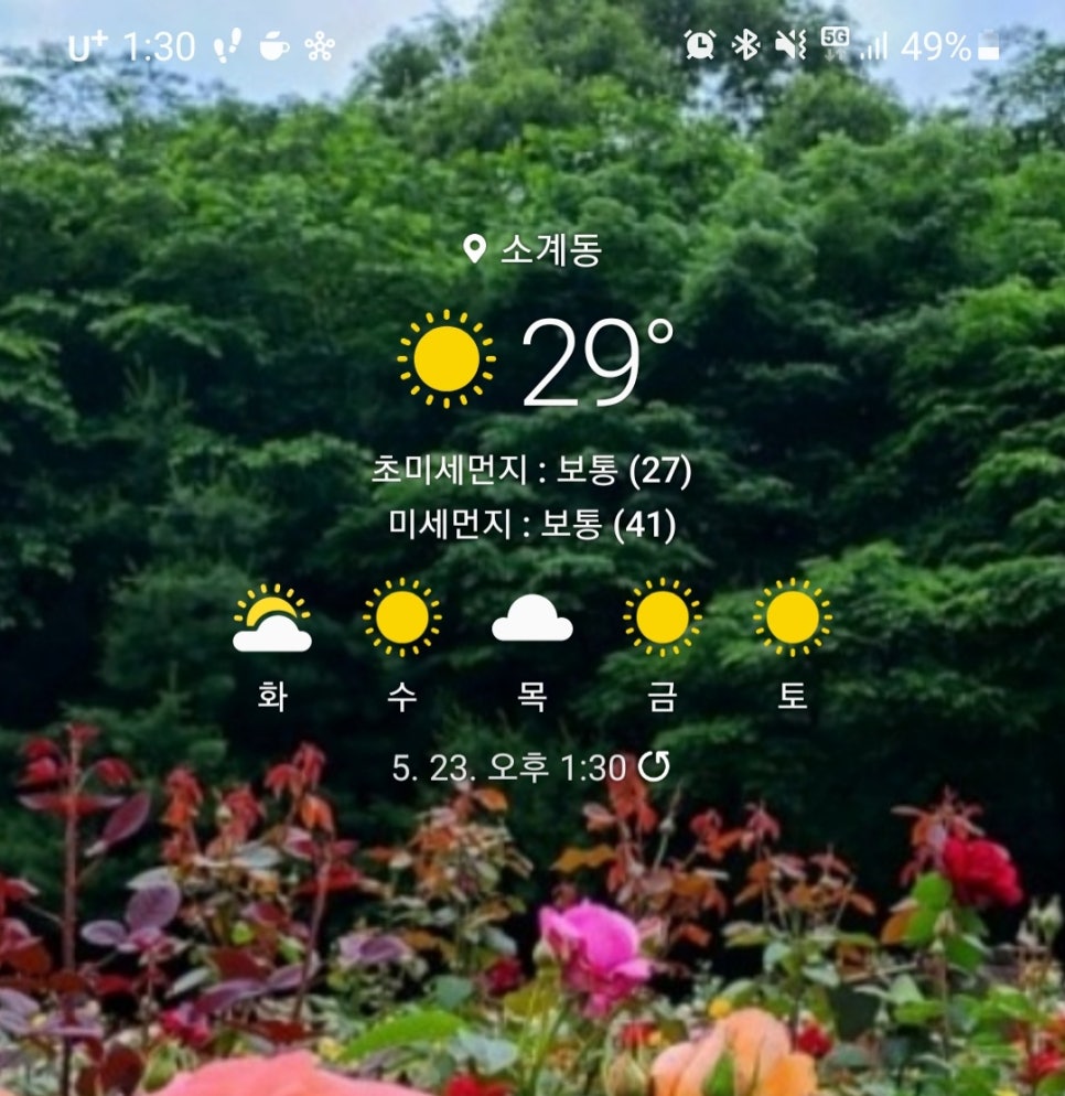 합성동 돼지국밥 이미지