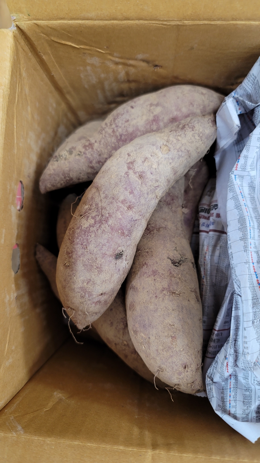 태안농산영농조합법인 이미지