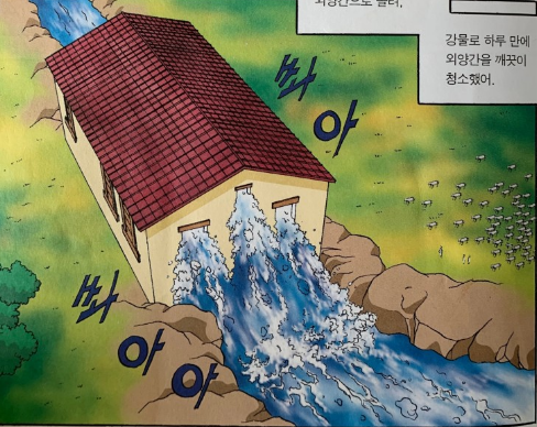 우리청소 이미지