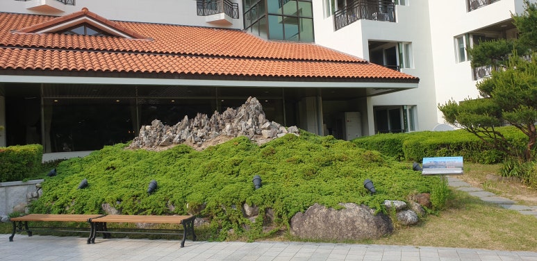 용대초등학교 이미지