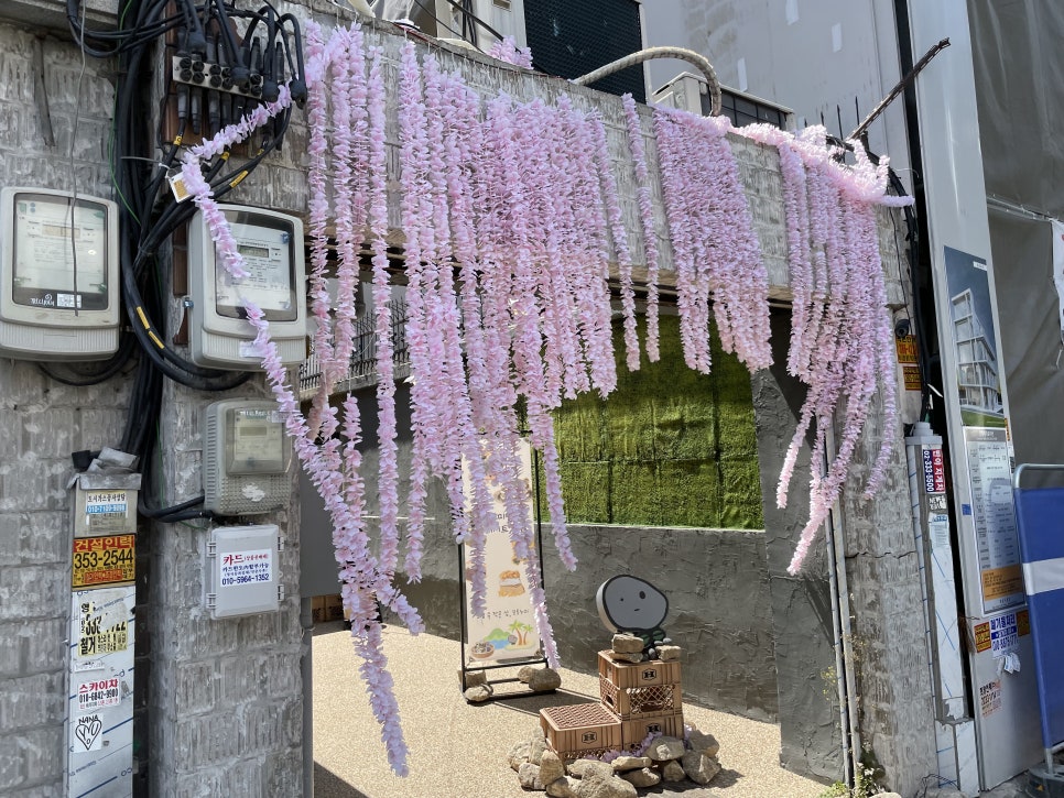 슬리핑포레스트 이미지