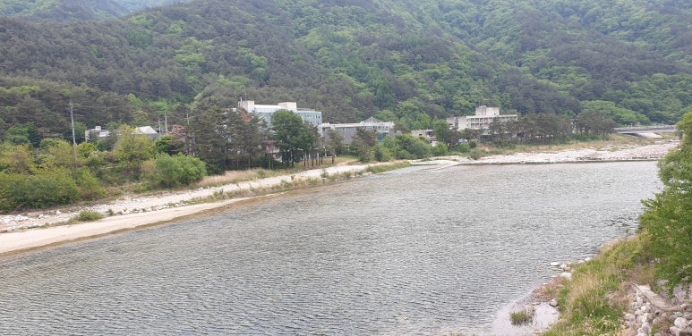 용대초등학교 이미지