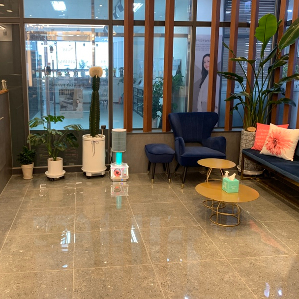 머스트 브론즈 이미지