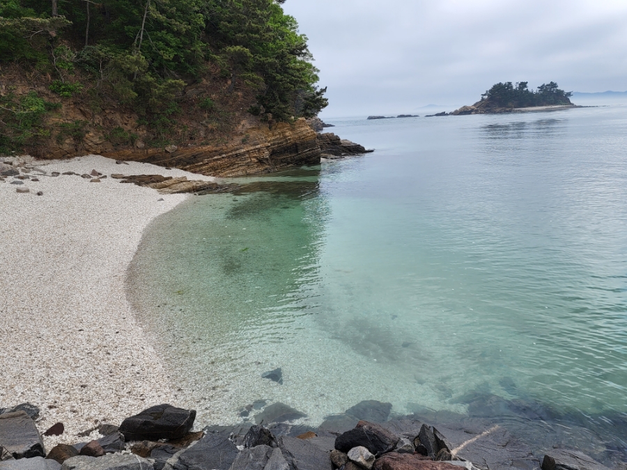 (주)바다나라 이미지