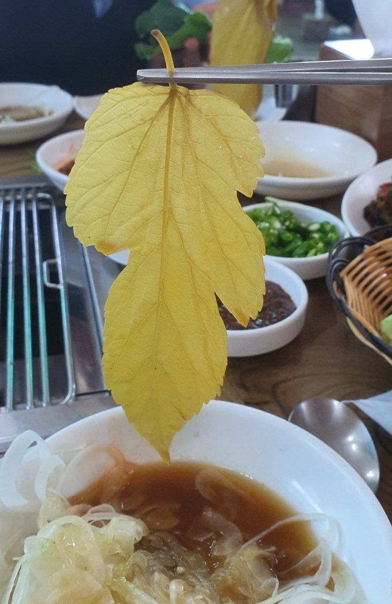 서탄민물장어 이미지