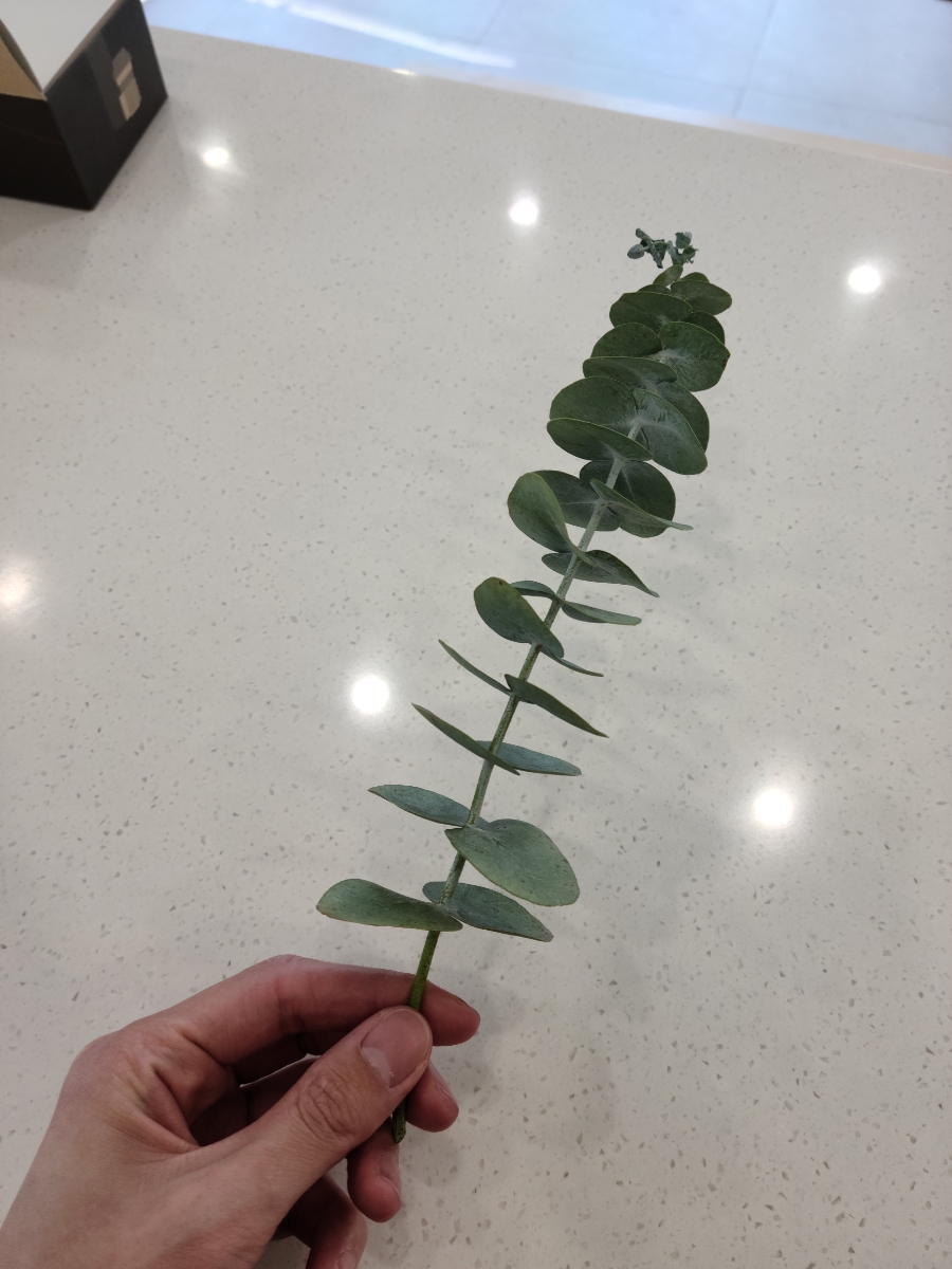 서유헤어 이미지