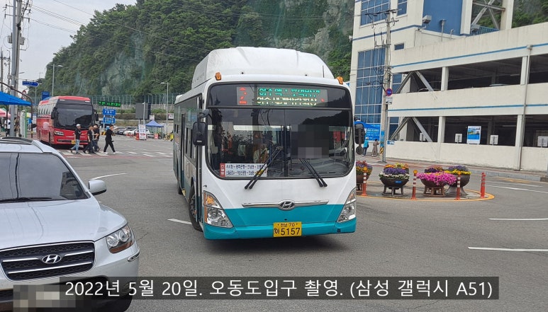 죽림석유 이미지