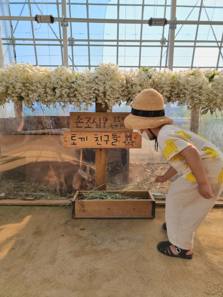 포시즌관광농원 이미지