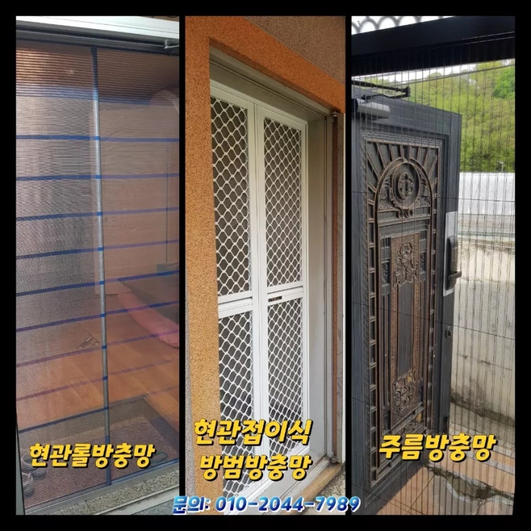 신탄진롤로 이미지