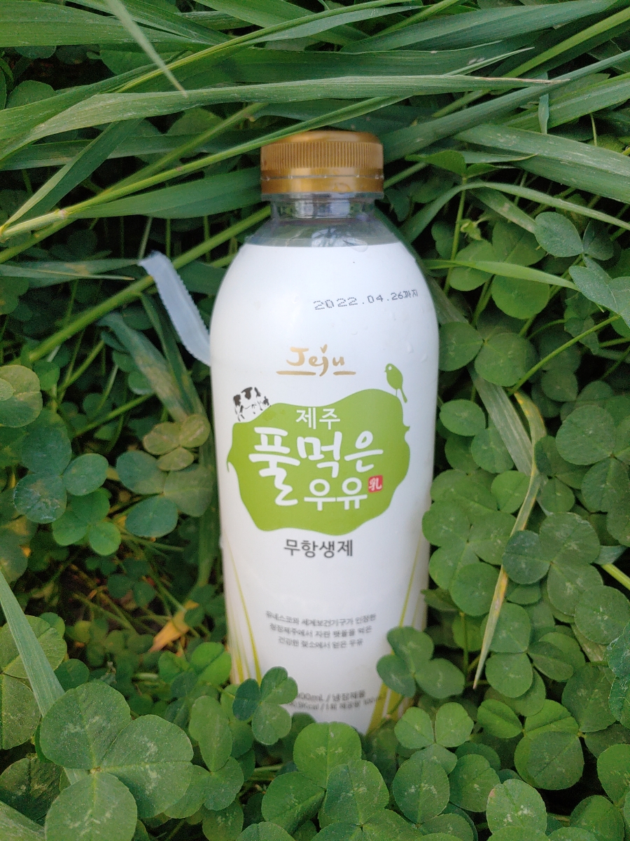 풀먹은우유 이미지