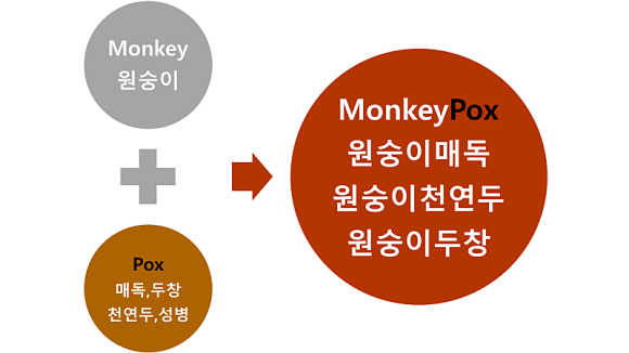 호산나가스 이미지