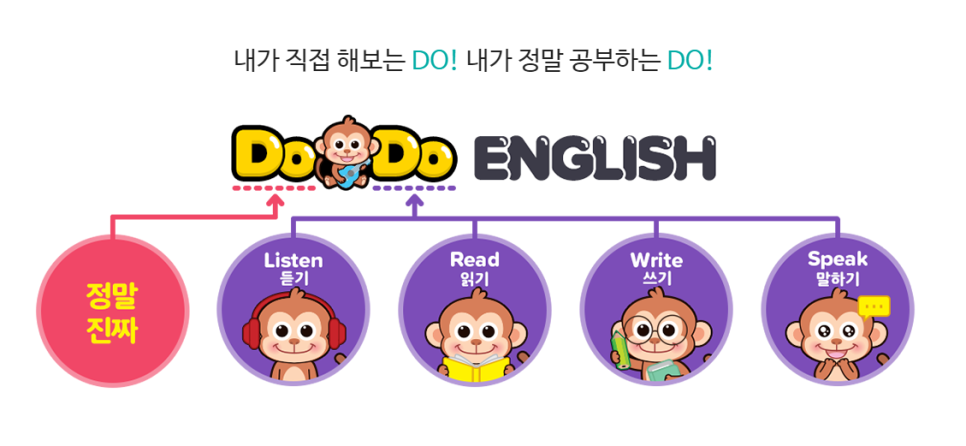 두두솔루션 이미지