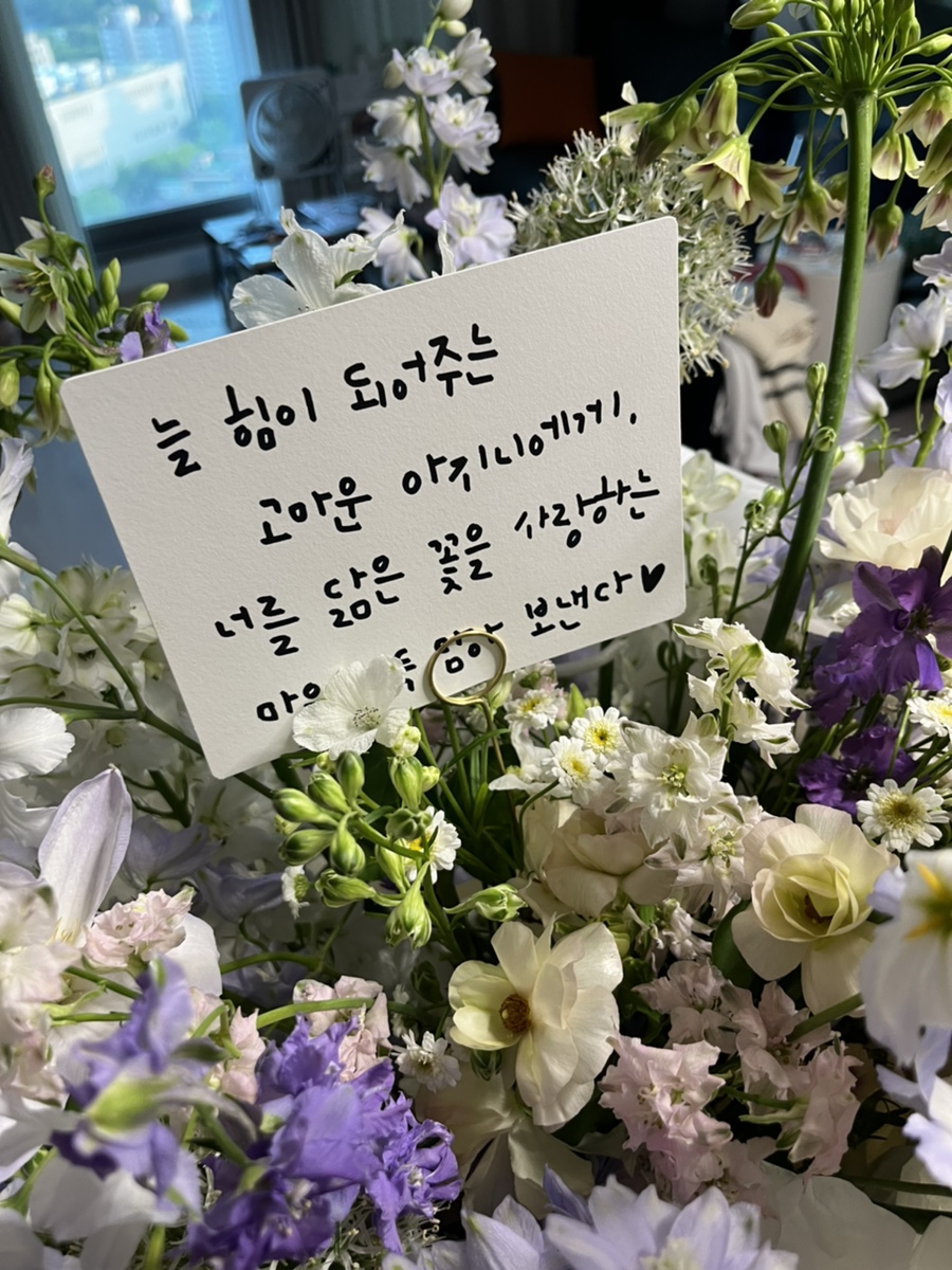꽁떼드에떼 이미지