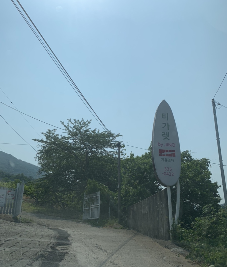 티가렛바이지노 이미지