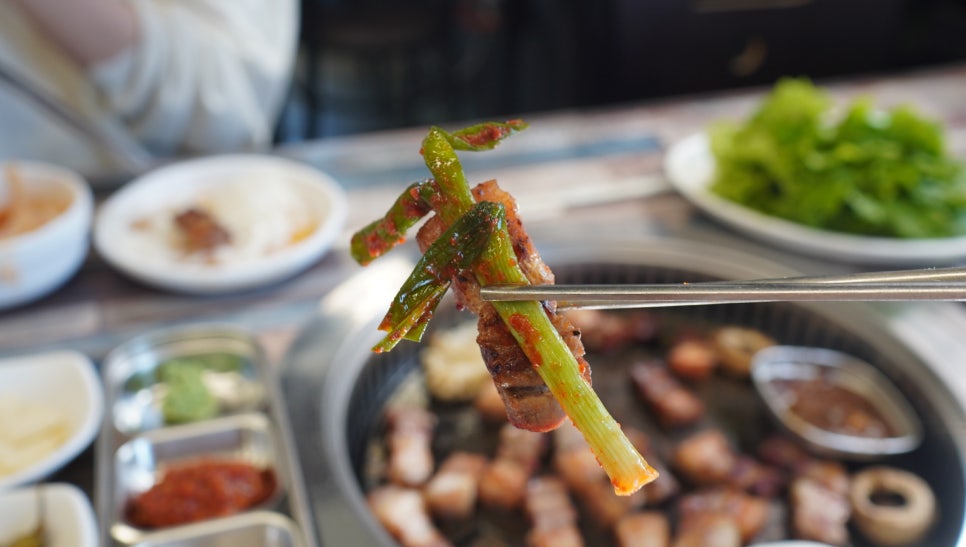 사브로소인제주 이미지