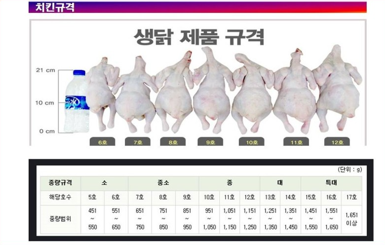호수별 이미지