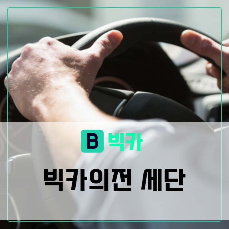 빅카 이미지