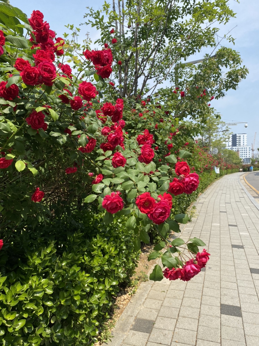 이마트24마포서교점 이미지