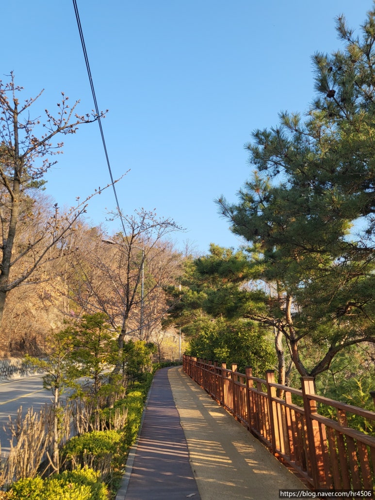 와룡서적 이미지