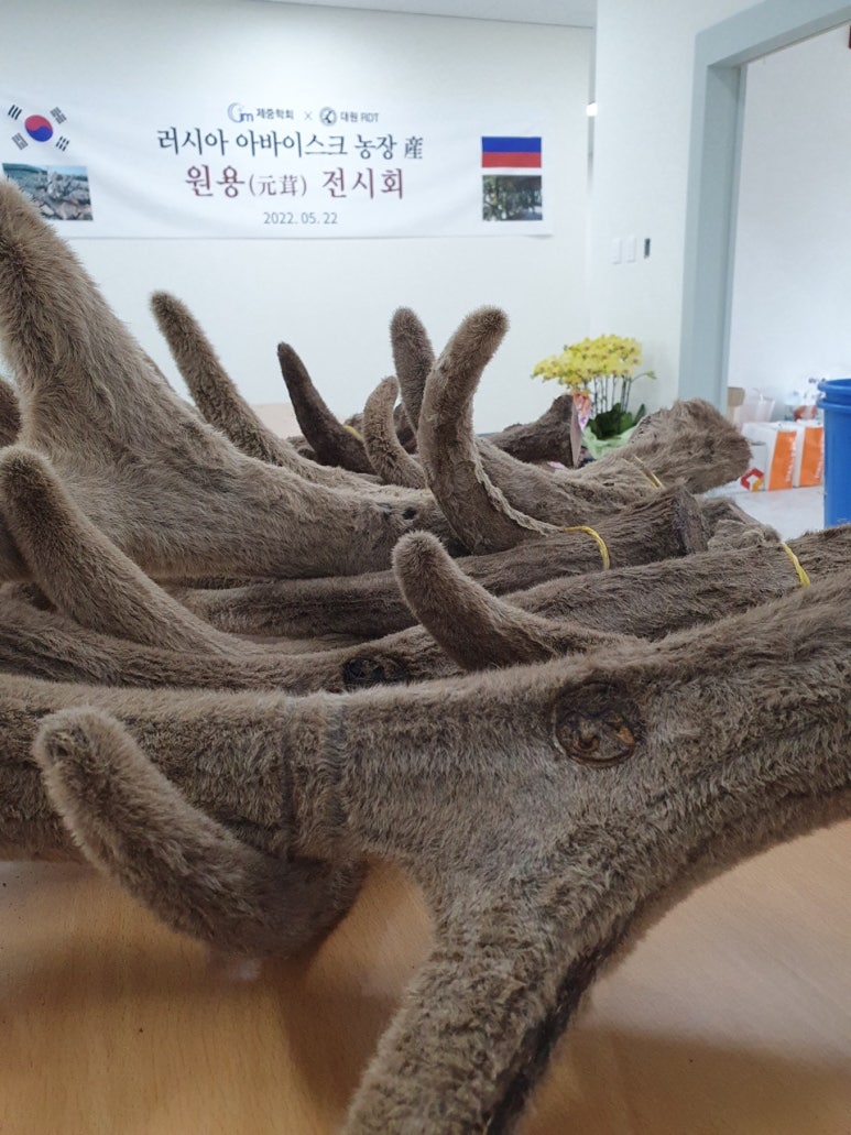 경희천통한의원 이미지