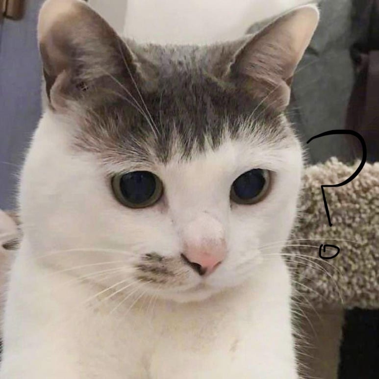 메르씨 이미지