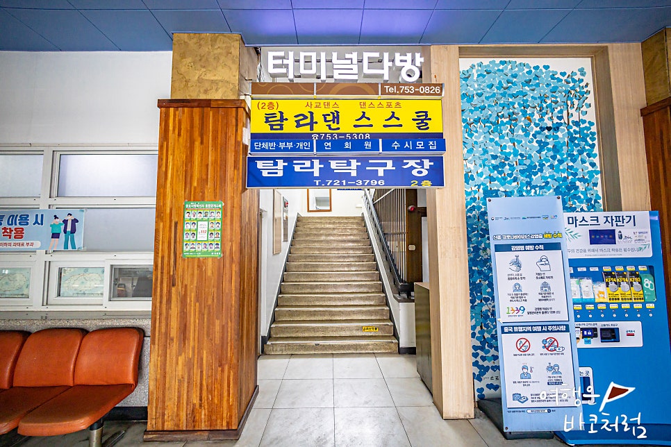 탐라댄스스쿨 이미지