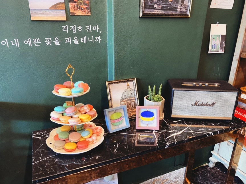 마카롱어센틱 이미지