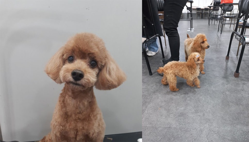 이룸뷰티미용학원 이미지