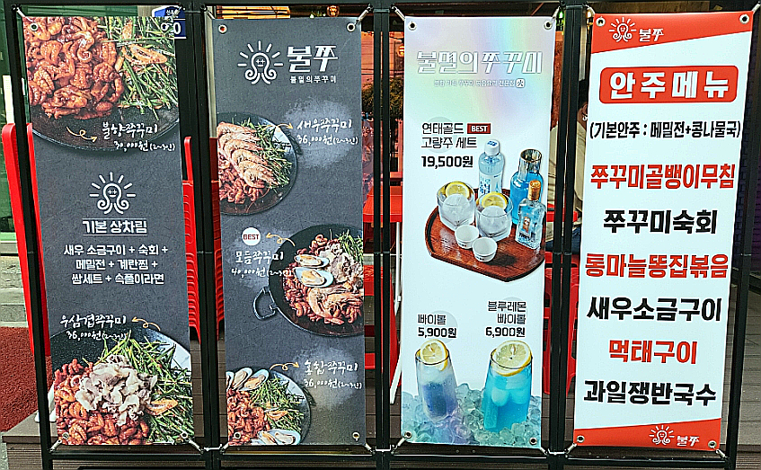 불멸의쭈꾸미 이미지