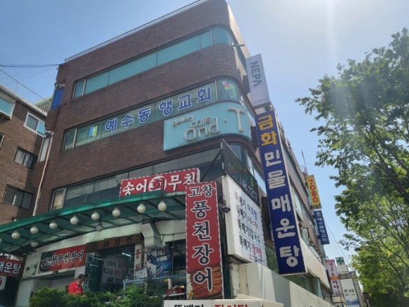 네파남한 이미지