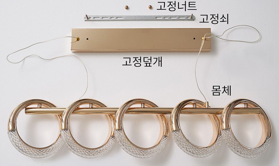 리시오 이미지
