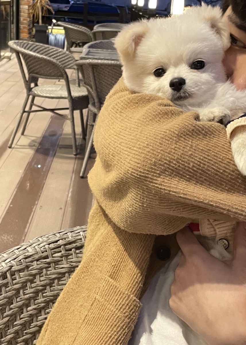 브롱스커피 이미지