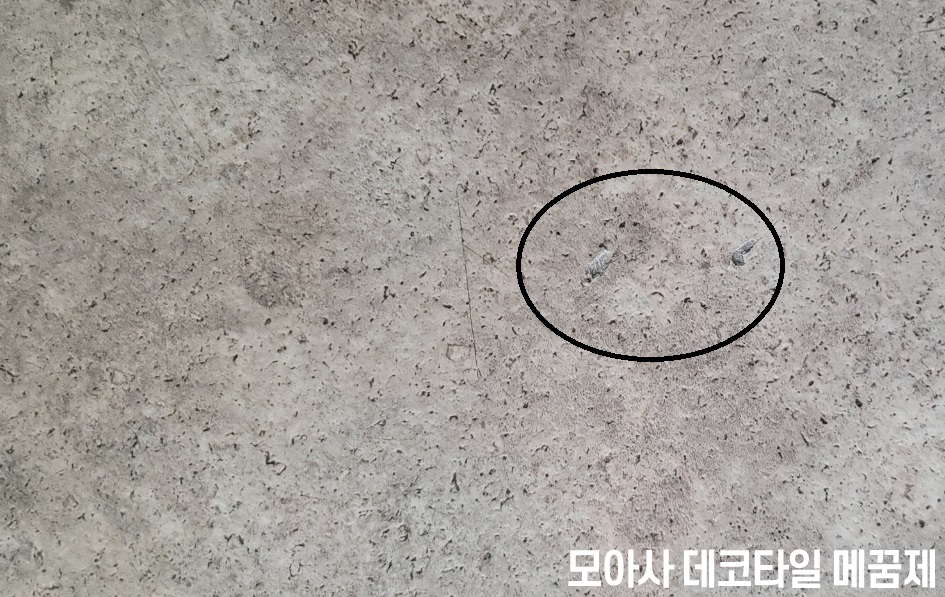 모아사 이미지