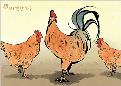 나무랑닭이랑 이미지