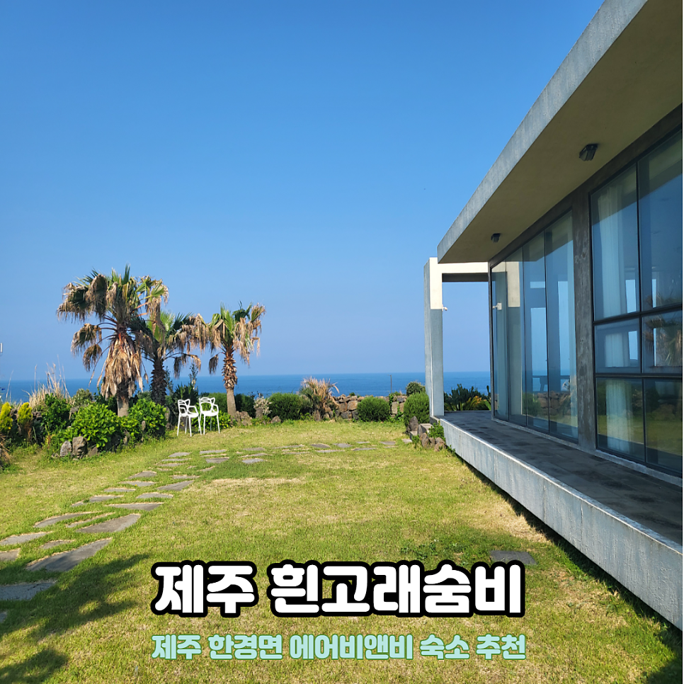 흰고래숨비 이미지