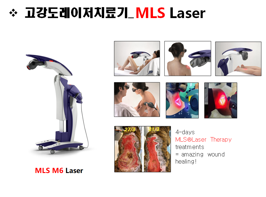 류마척제통내과 이미지