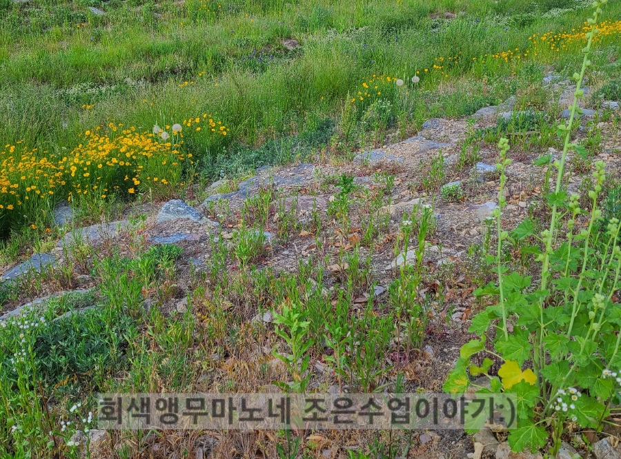 고기울림 이미지