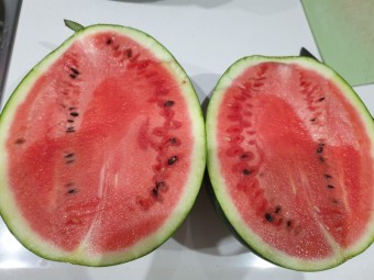 해피마트 이미지